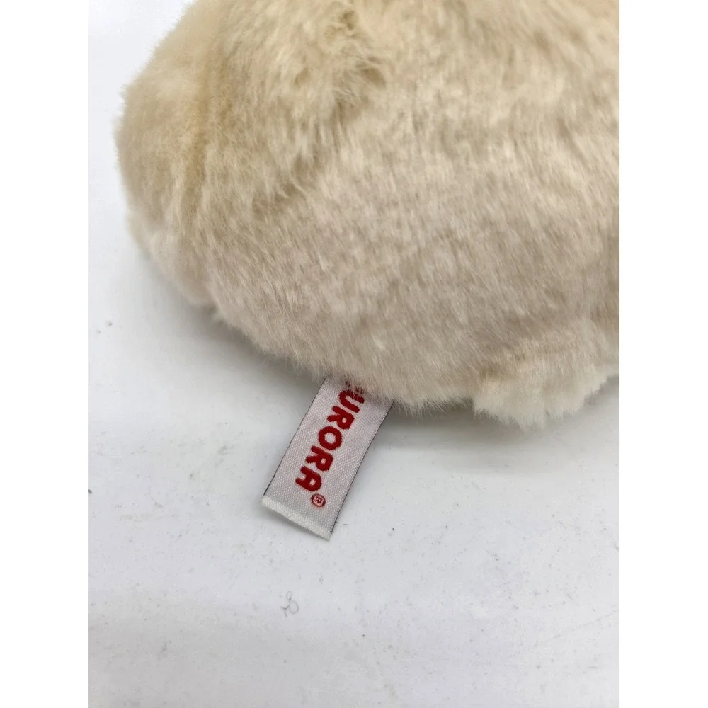 Aurora 8